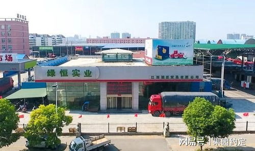 江西水果市場回暖,南昌深圳農產品批發(fā)市場日銷10000余噸